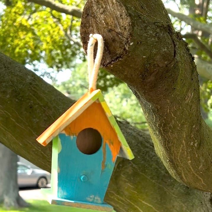 Birdhouse Kit