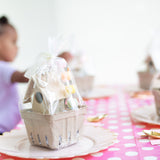 Birdhouse Kit