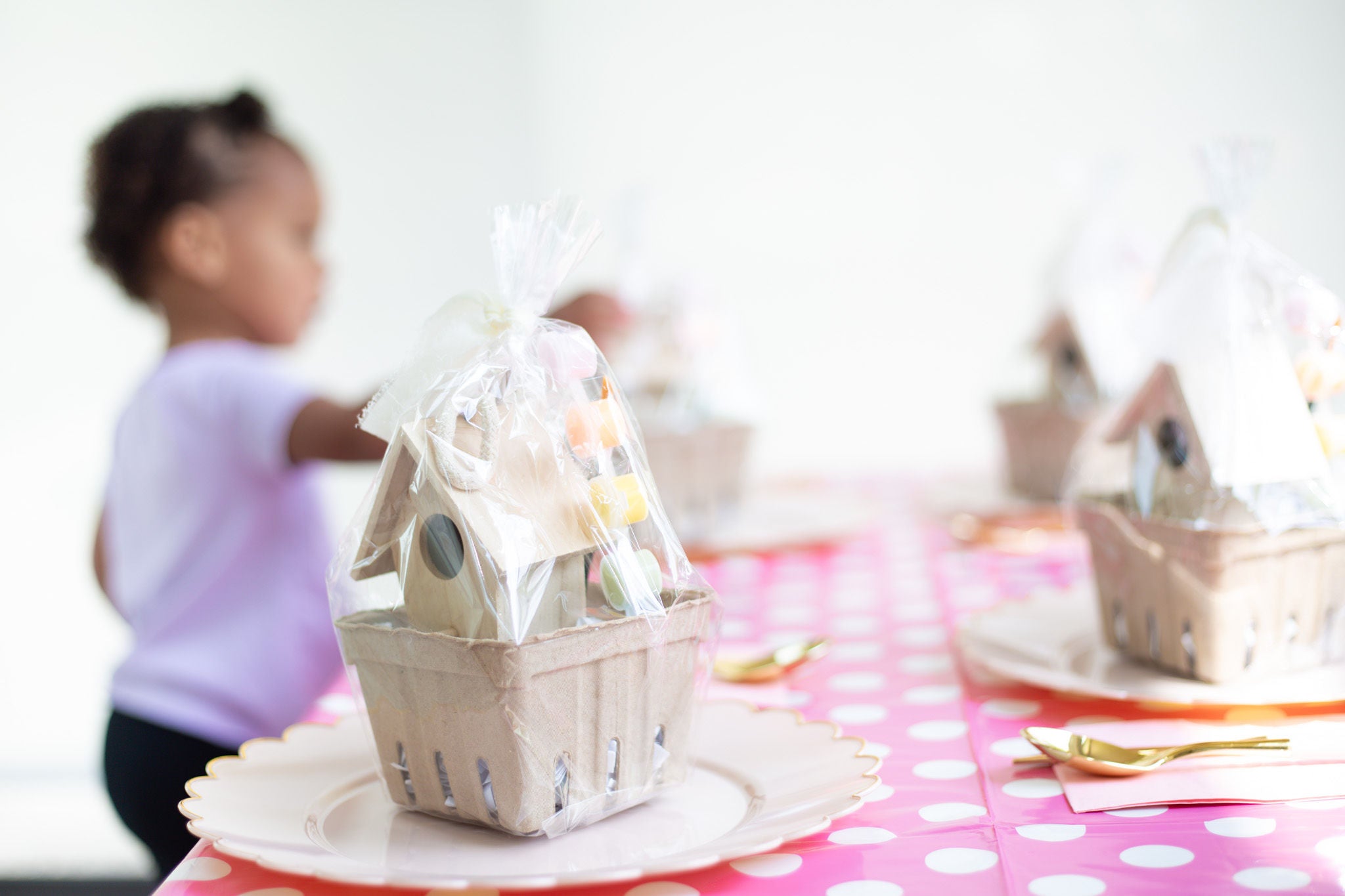 Birdhouse Kit